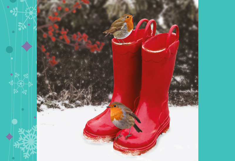 Robins on Wellies A