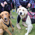 KW EDINBURGH 2019 1715
